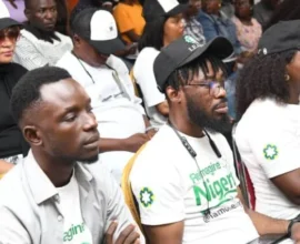 Nigerian youths benefiting from skills development initiatives under the Nigerian Youth Academy.